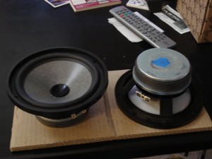 focal